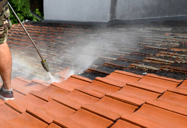Best Pressure Washing Brick  in Spring Lake, NJ